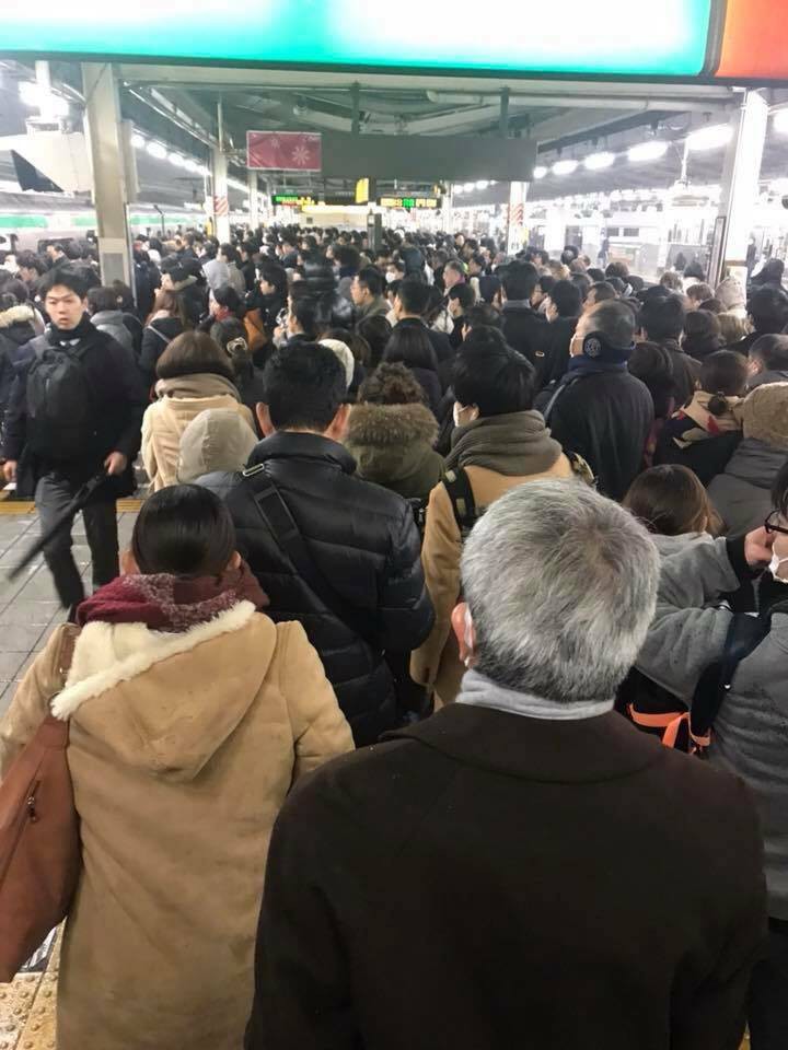 Những hình ảnh rùng mình trong bão tuyết kỷ lục tại Tokyo: Hàng trăm chuyến bay bị hủy, xe đạp đóng băng ngoài trời